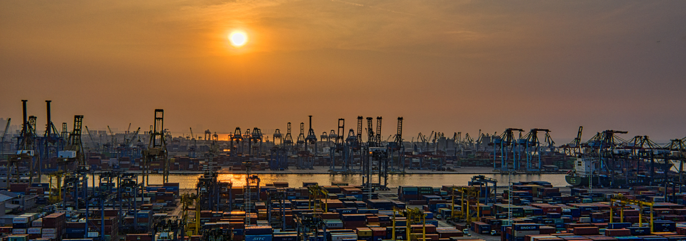 Global Export Solutions